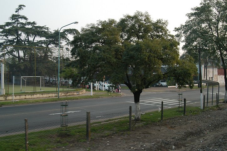 Campo calcio